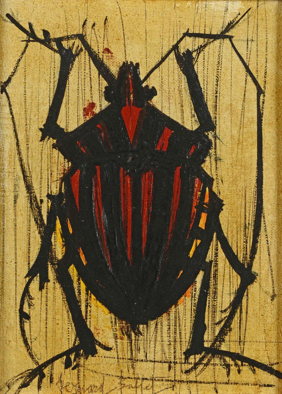 Coleoptère (Graphosoma linealum) - BUFFET Bernard (1928-1999)