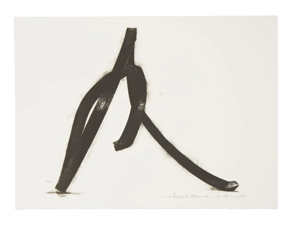 Ligne indéterminée, 1987 - VENET Bernar (1941)