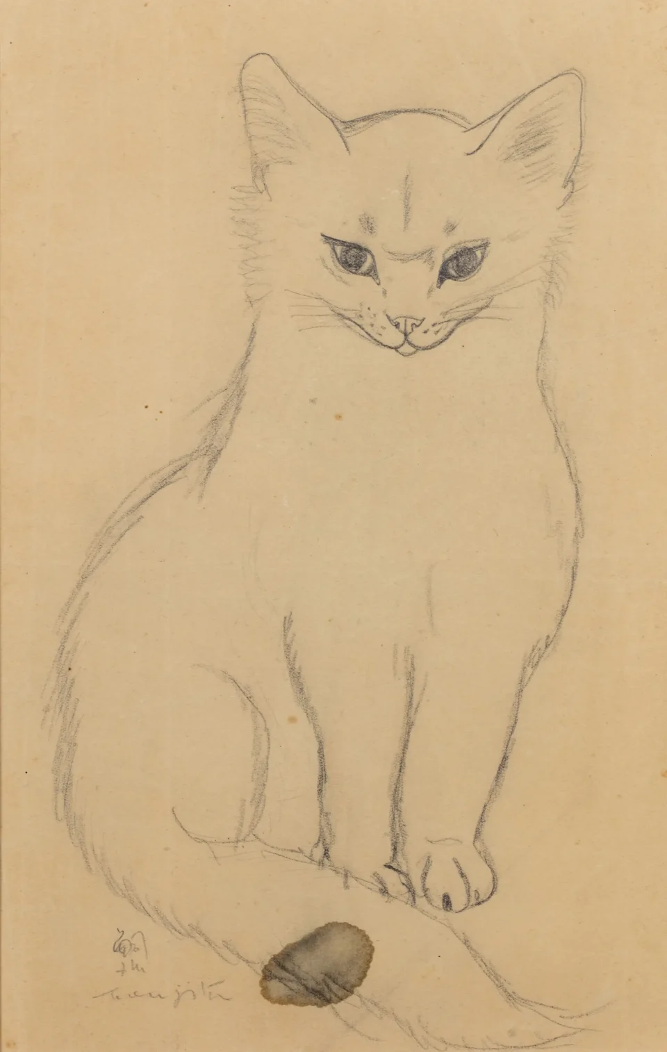 Chat blanc - Leonard Tsuguharu FOUJITA (Edogama 1886 - Zurich 1968)