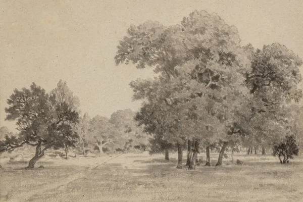 Bosquet de chênes au carrefour de l'Epine, forêt de Fontainebleau, 1855 - Théodore ROUSSEAU (Paris 1812- Barbizon 1867)