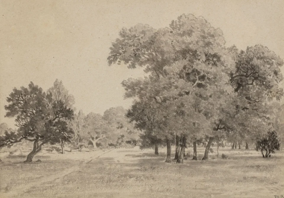 Bosquet de chênes au carrefour de l’Epine, forêt de Fontainebleau, 1855 - Théodore ROUSSEAU (Paris 1812- Barbizon 1867)