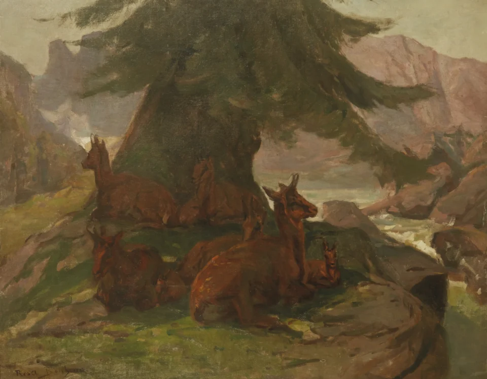 Chamois sous un sapin - Rosa BONHEUR (Bordeaux 1822- Bry sur Marne 1899)